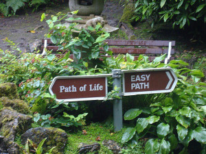 the path of life