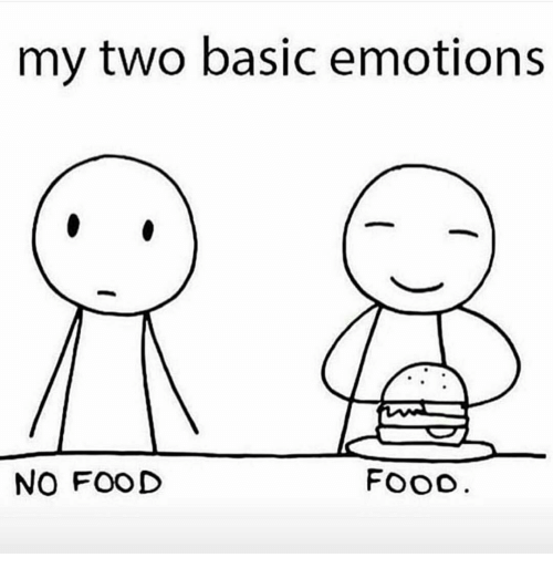 food no food