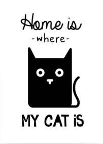 home is where my cat is