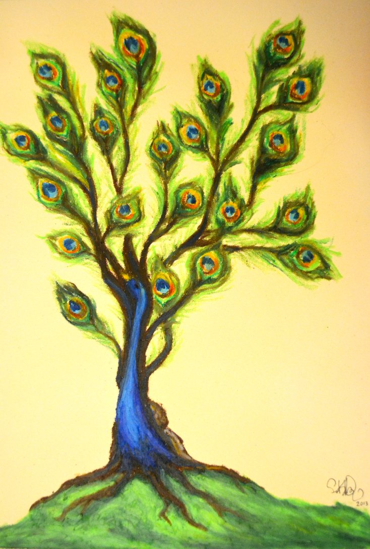 peacock tree